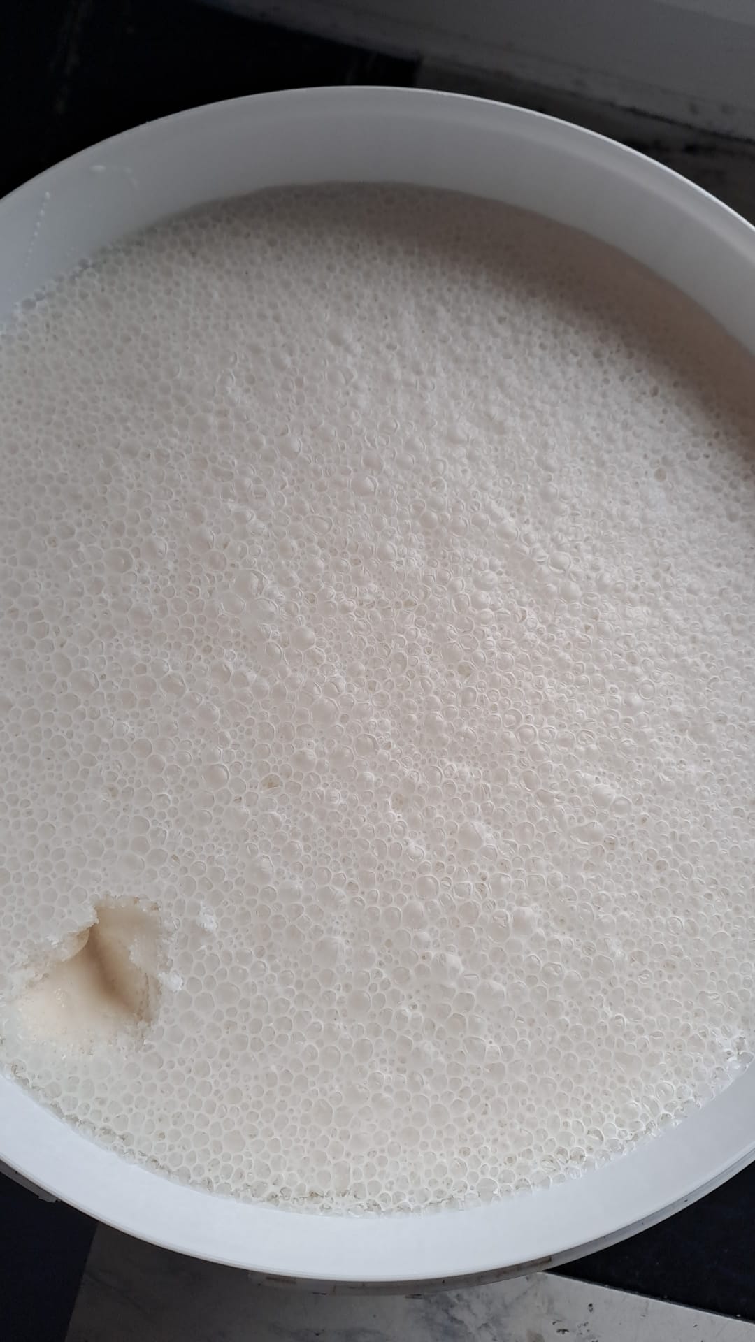 Authentique Miel Blanc de Kirghizistan - En Gros